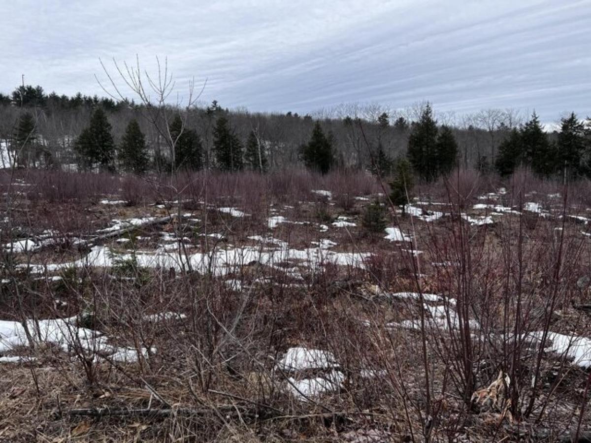 Picture of Residential Land For Sale in Greene, Maine, United States