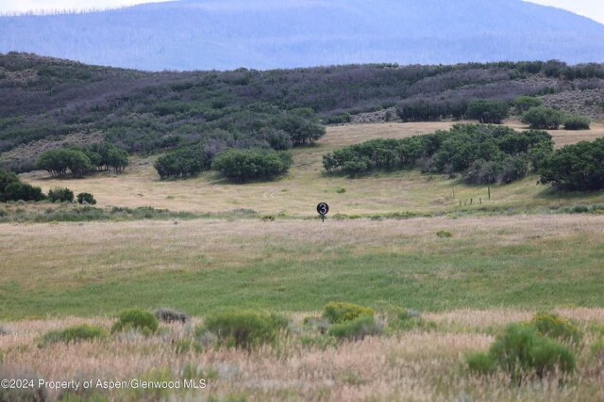 Picture of Residential Land For Sale in Carbondale, Colorado, United States