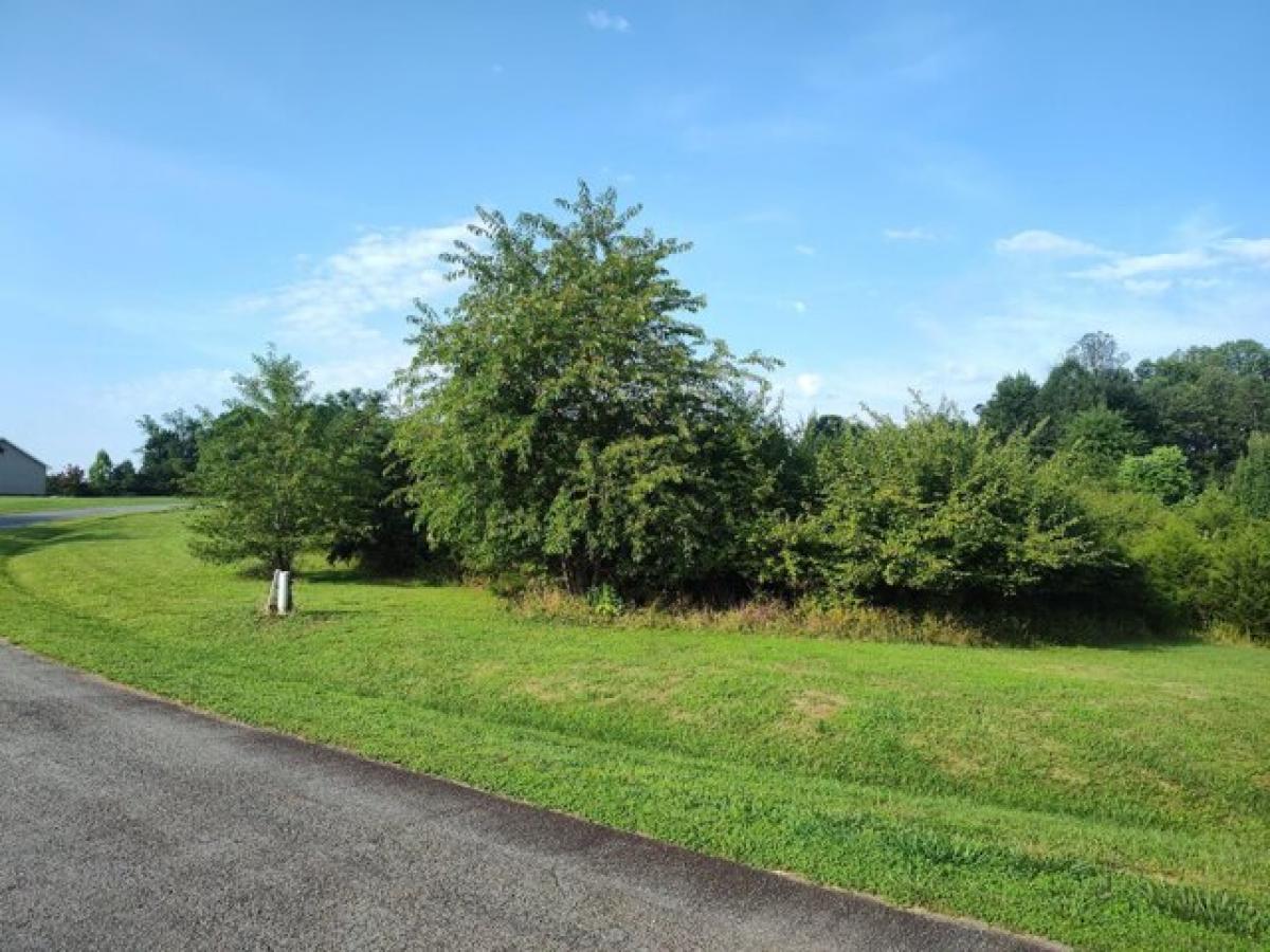 Picture of Residential Land For Sale in Hardy, Virginia, United States