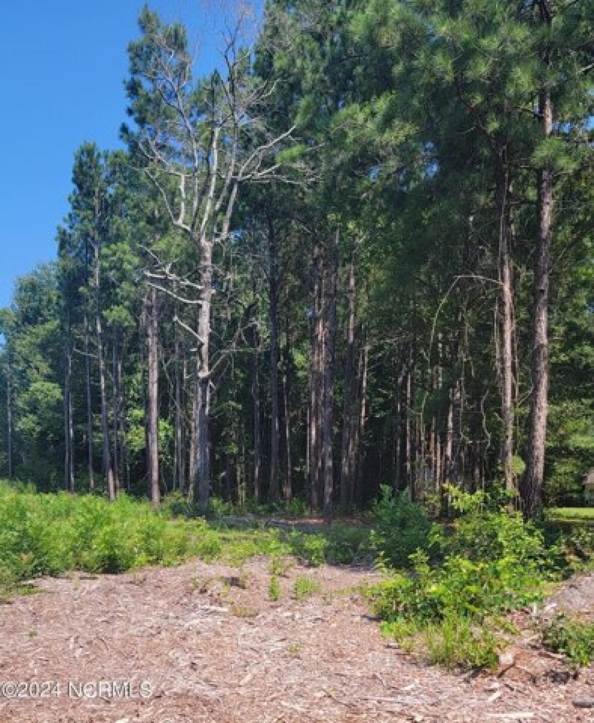 Picture of Residential Land For Sale in Bolivia, North Carolina, United States