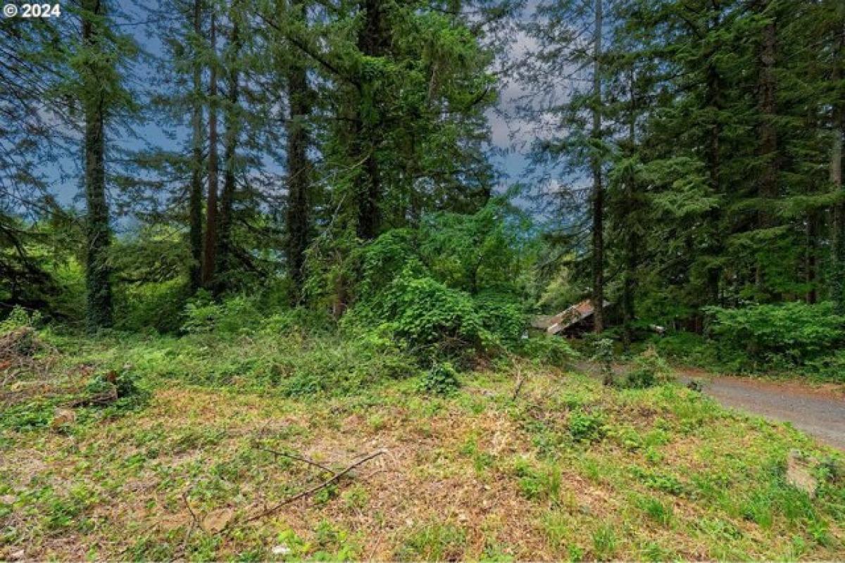 Picture of Residential Land For Sale in Stevenson, Washington, United States