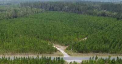 Residential Land For Sale in 