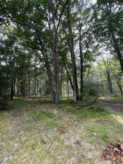 Residential Land For Sale in Evart, Michigan