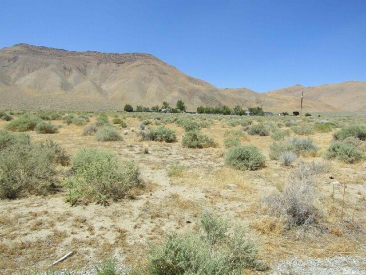 Picture of Residential Land For Sale in Yerington, Nevada, United States