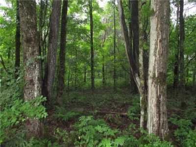 Residential Land For Sale in 