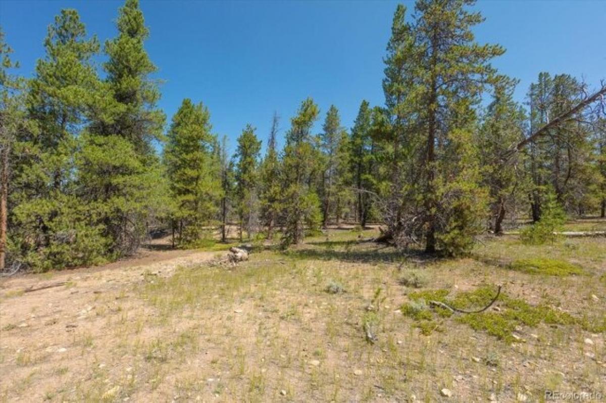 Picture of Residential Land For Sale in Leadville, Colorado, United States