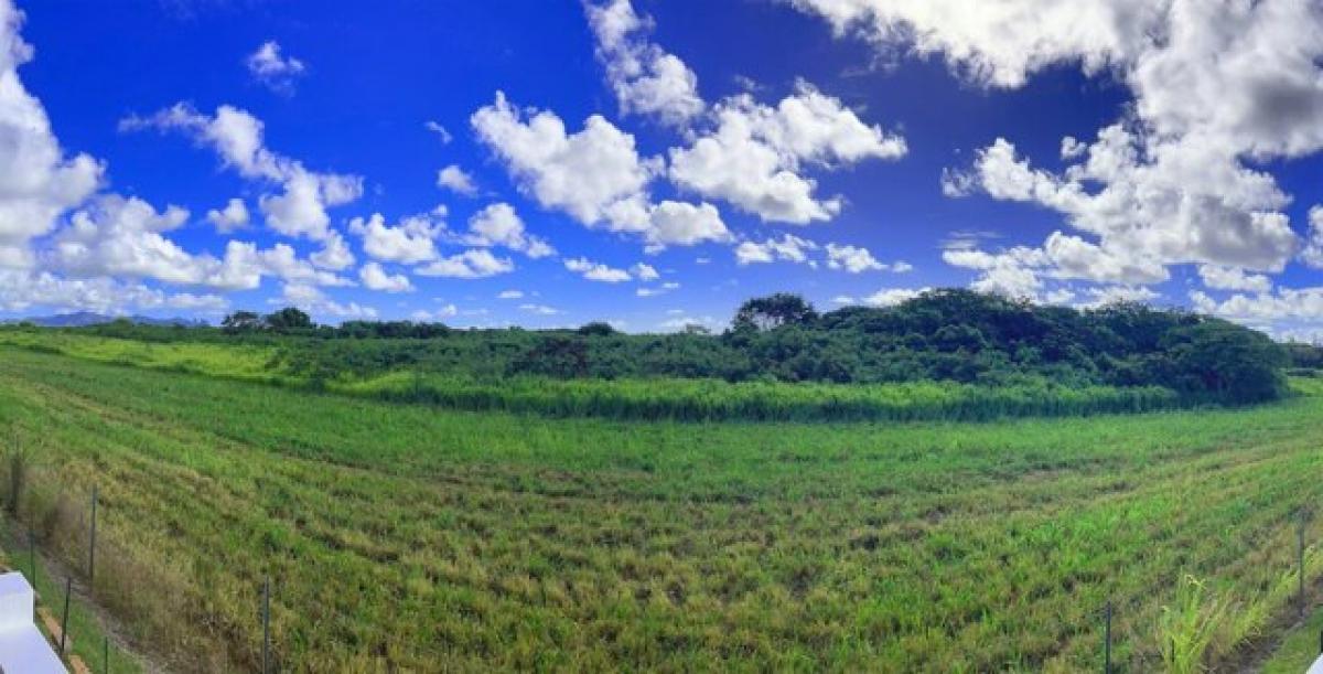 Picture of Home For Sale in Kapaa, Hawaii, United States