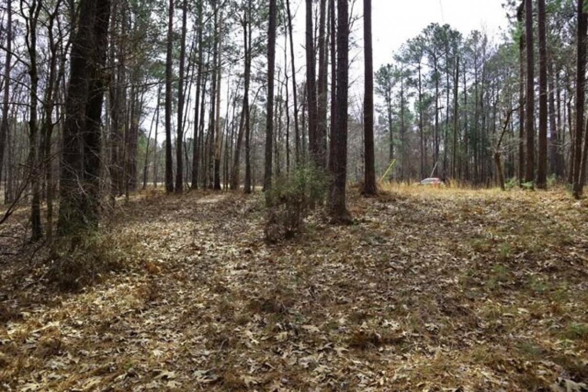 Picture of Residential Land For Sale in Sparta, Georgia, United States