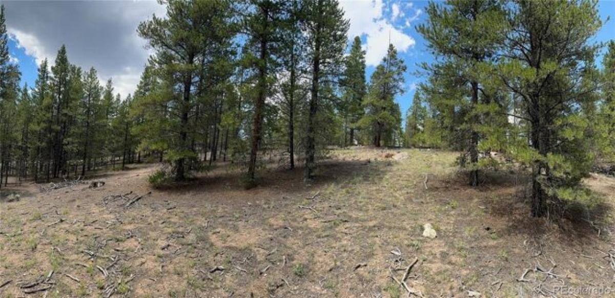 Picture of Residential Land For Sale in Leadville, Colorado, United States