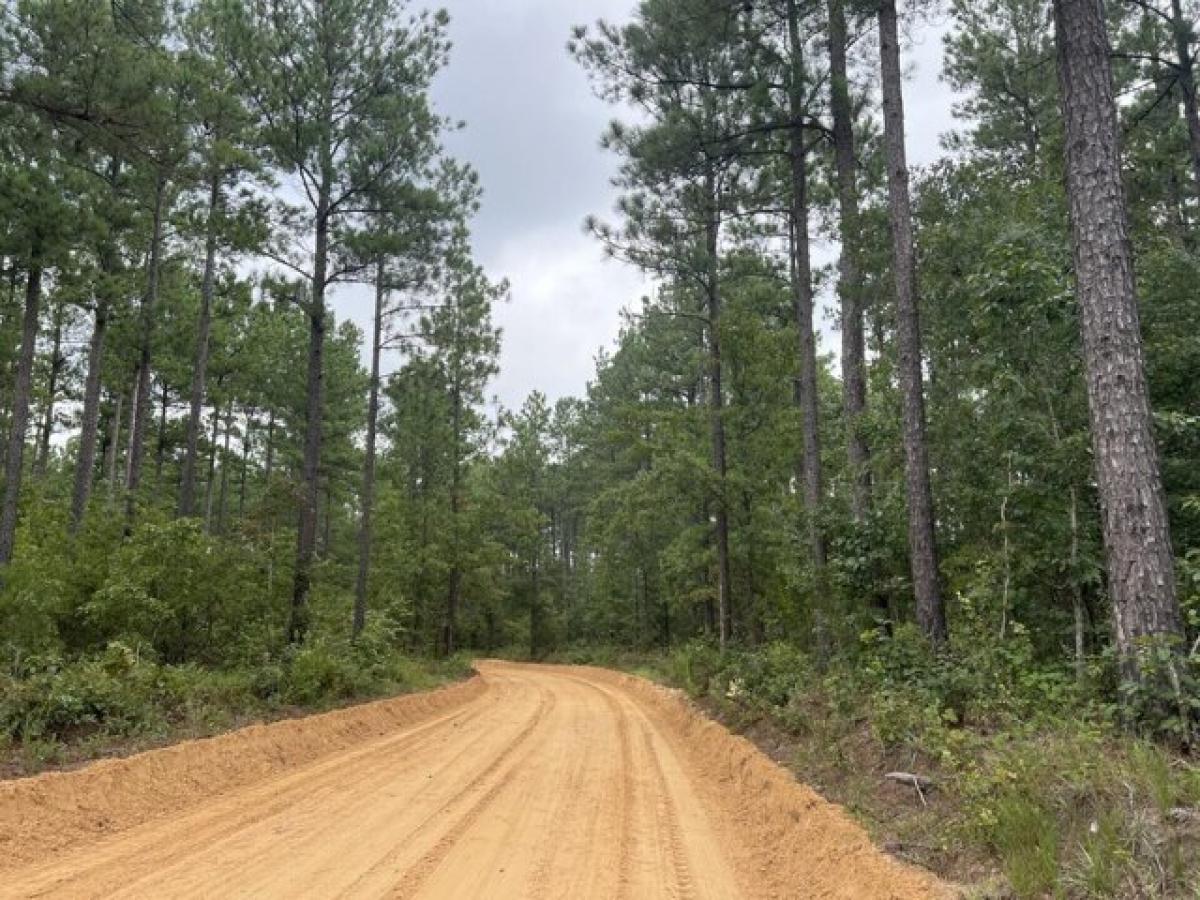 Picture of Residential Land For Sale in Wagener, South Carolina, United States