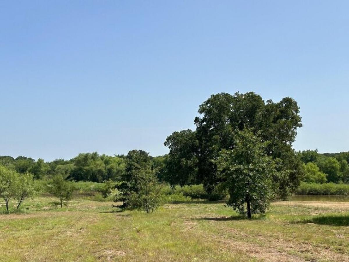 Picture of Residential Land For Sale in Nocona, Texas, United States