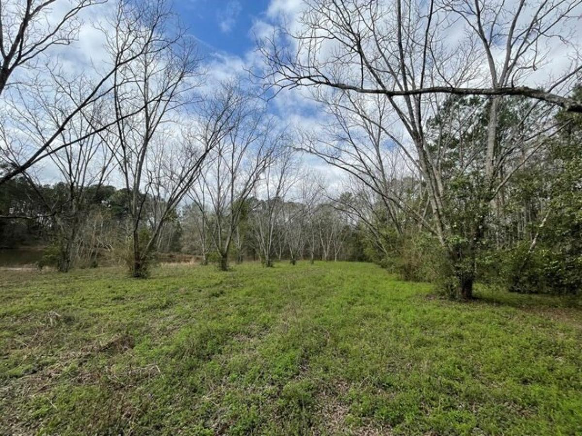 Picture of Residential Land For Sale in Cairo, Georgia, United States