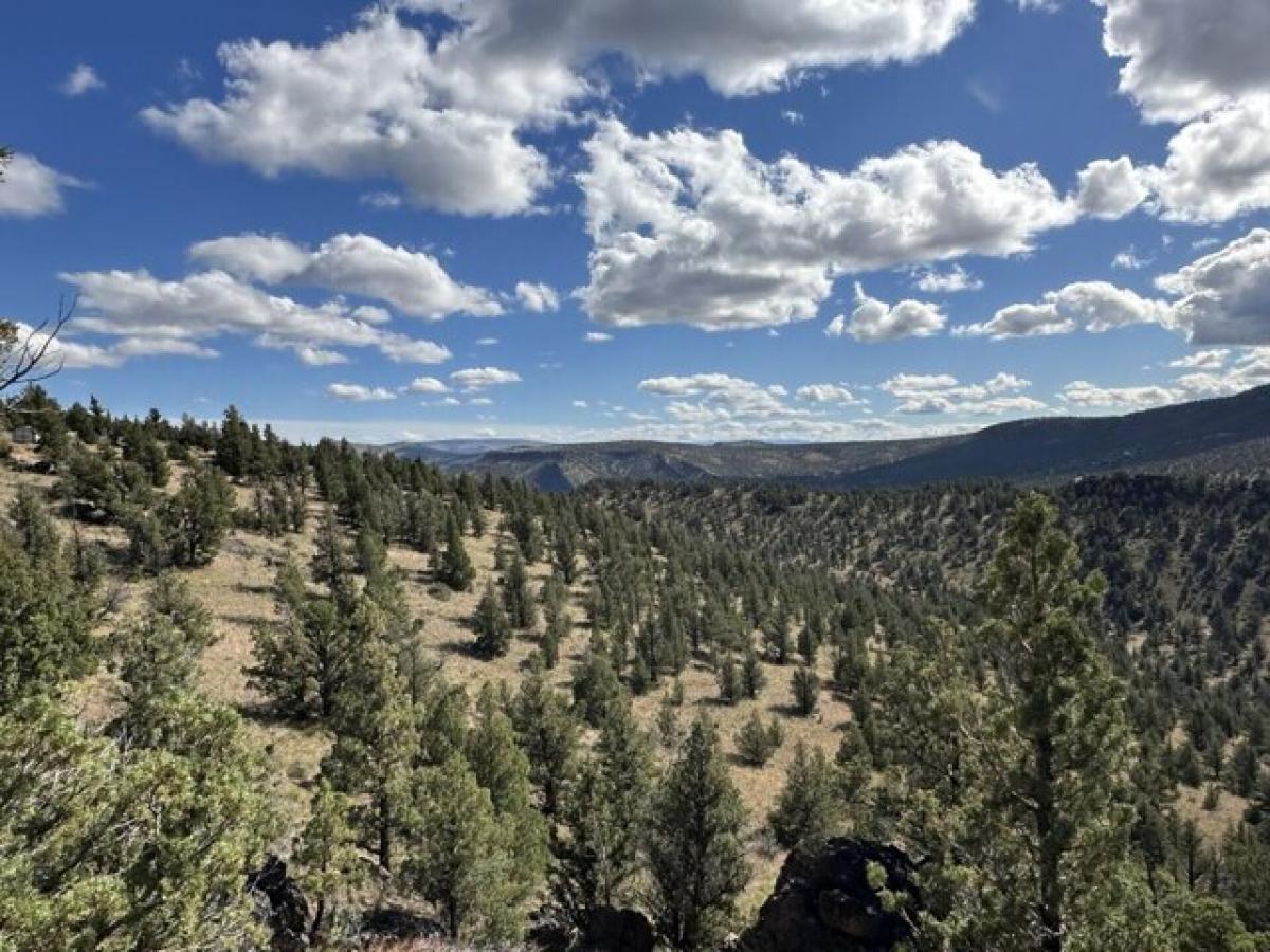 Picture of Residential Land For Sale in Prineville, Oregon, United States