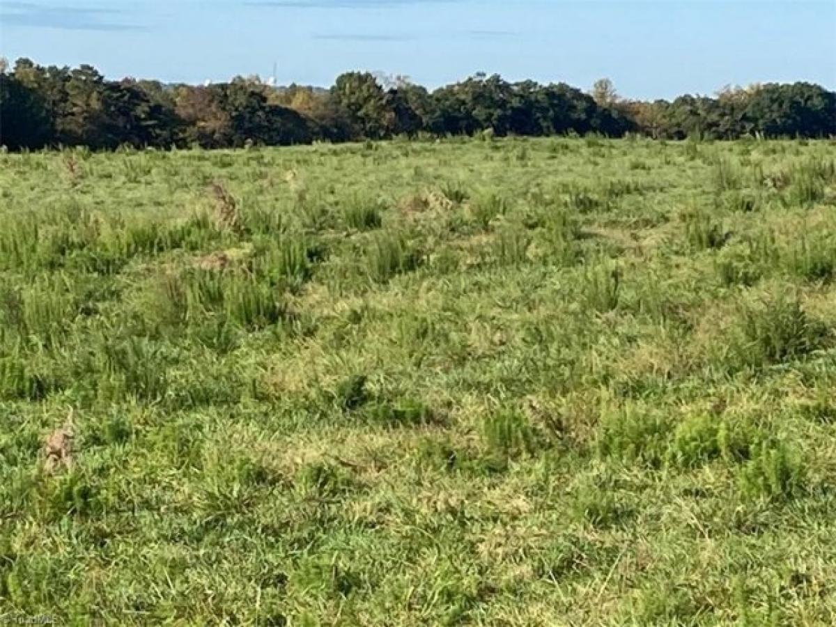 Picture of Residential Land For Sale in Star, North Carolina, United States