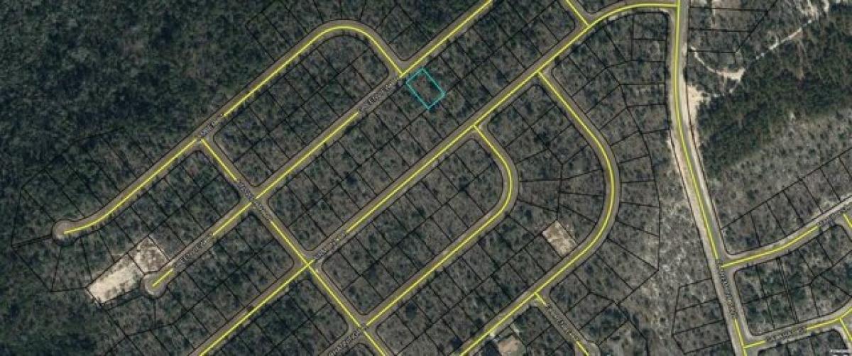 Picture of Residential Land For Rent in Chipley, Florida, United States