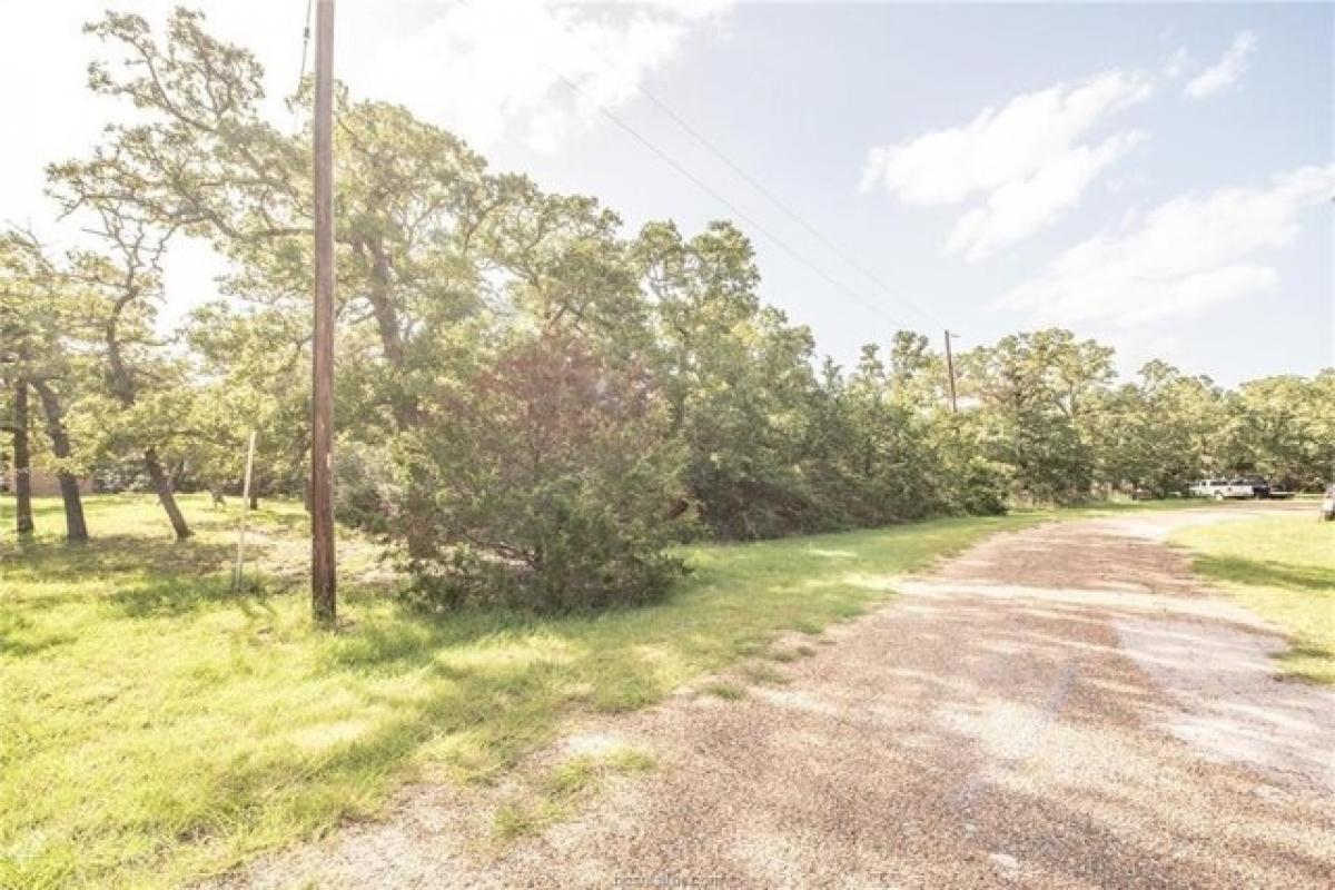 Picture of Residential Land For Sale in Somerville, Texas, United States