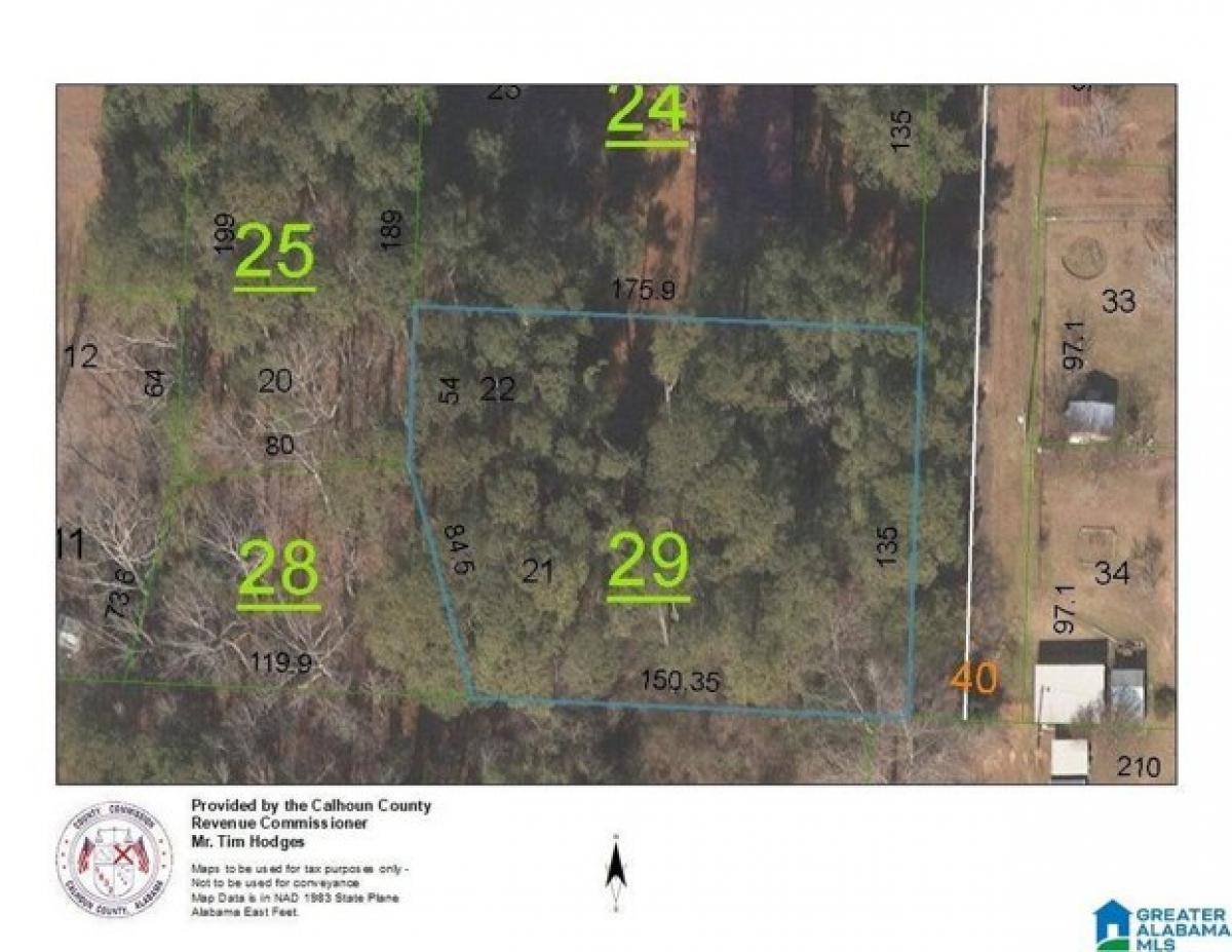 Picture of Residential Land For Sale in Piedmont, Alabama, United States