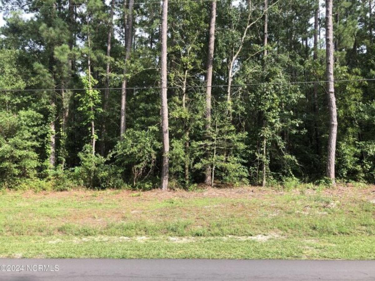 Picture of Residential Land For Sale in Leland, North Carolina, United States