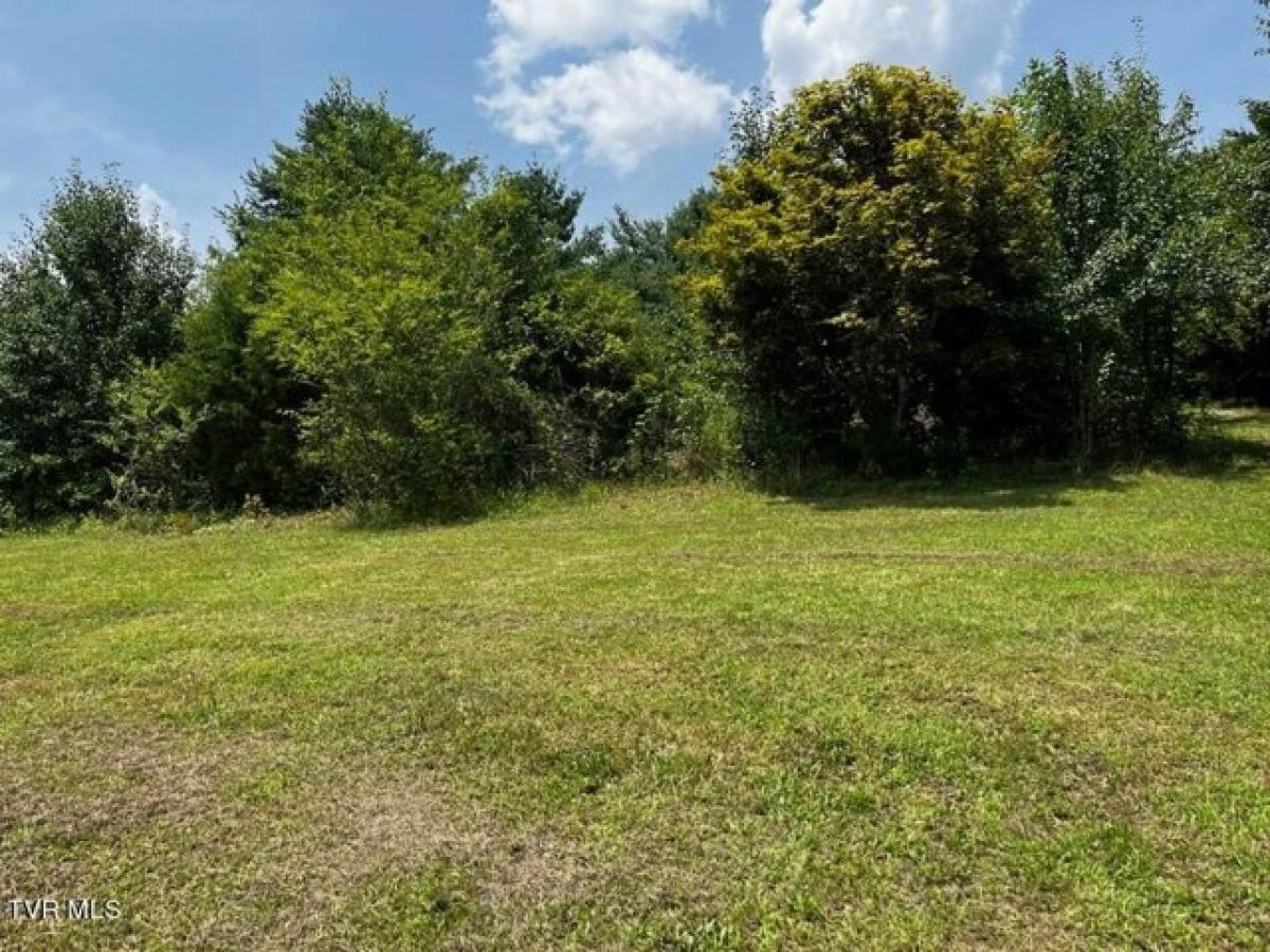 Picture of Residential Land For Sale in Bluff City, Tennessee, United States