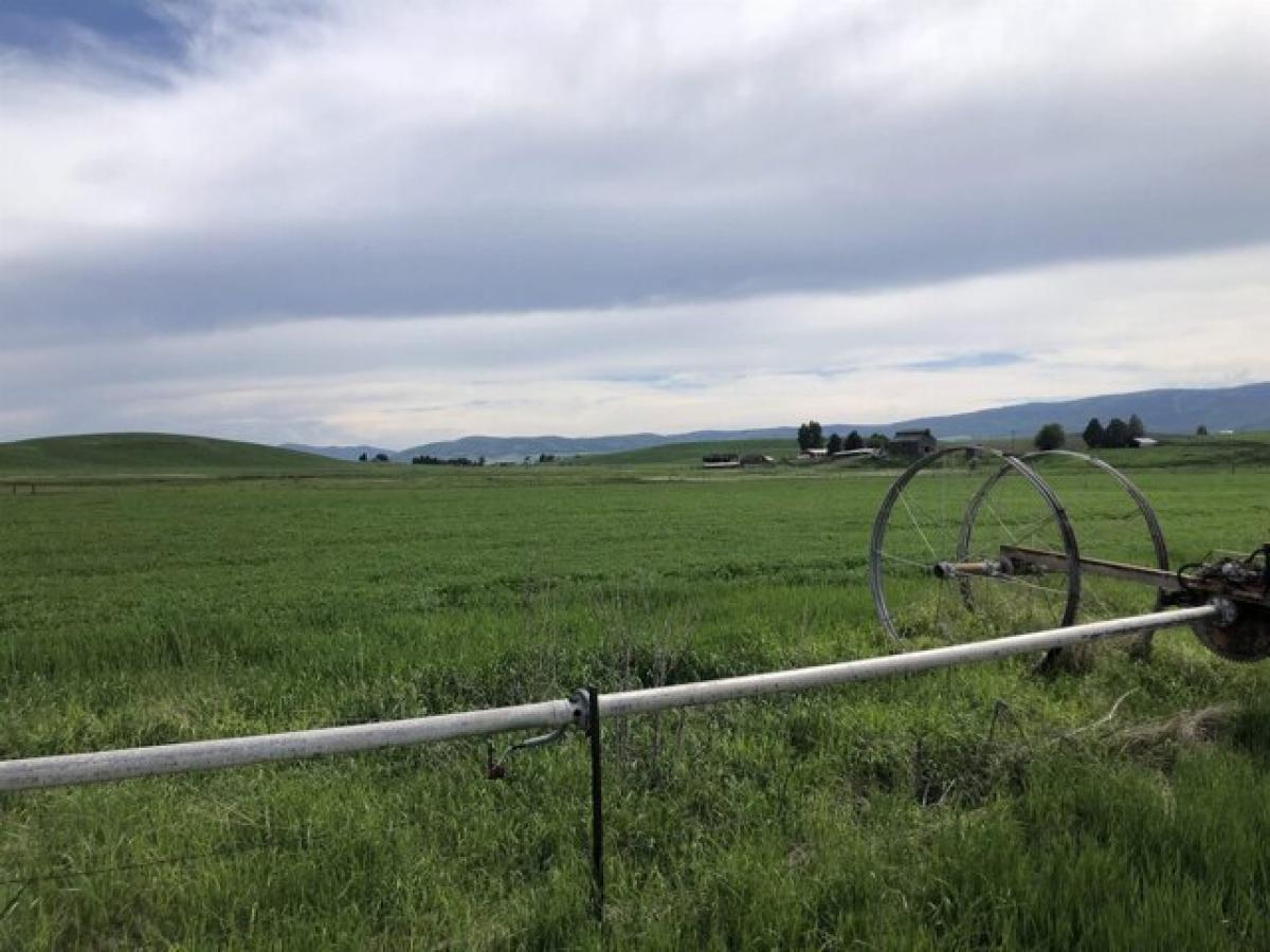 Picture of Residential Land For Sale in Grace, Idaho, United States