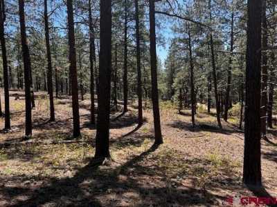 Residential Land For Sale in Bayfield, Colorado