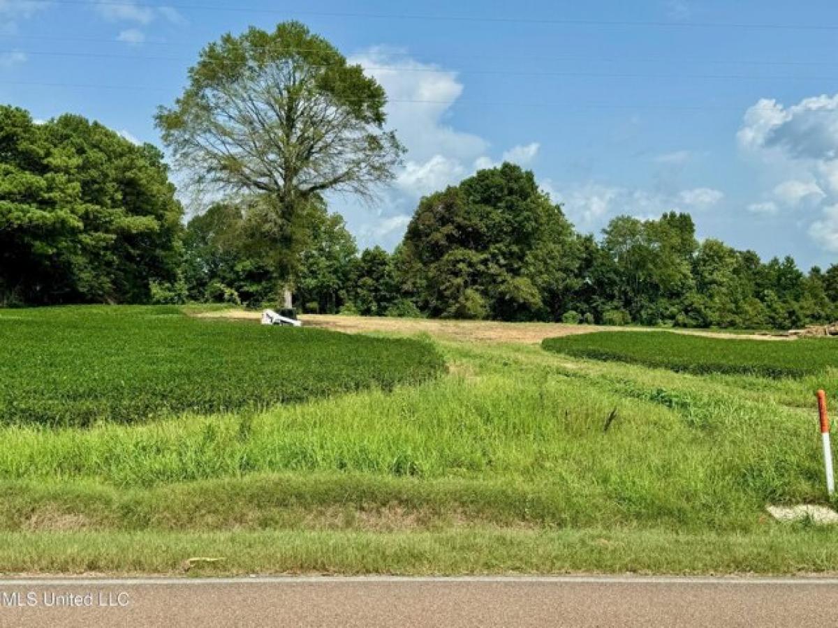 Picture of Residential Land For Sale in Banner, Mississippi, United States