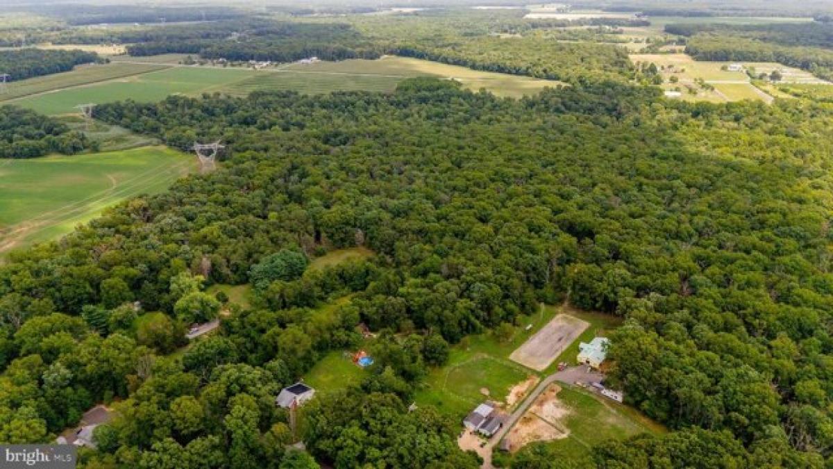 Picture of Residential Land For Sale in Pittsgrove, New Jersey, United States