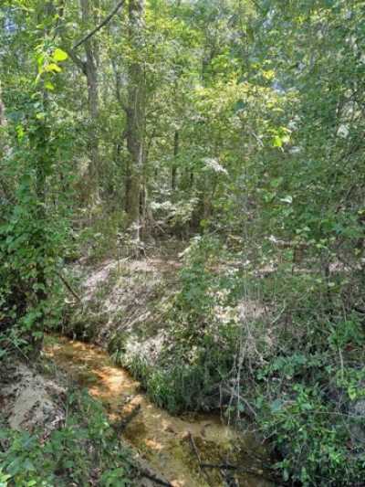 Residential Land For Sale in Pittsburg, Texas