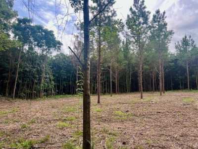 Residential Land For Sale in Sandy Hook, Mississippi