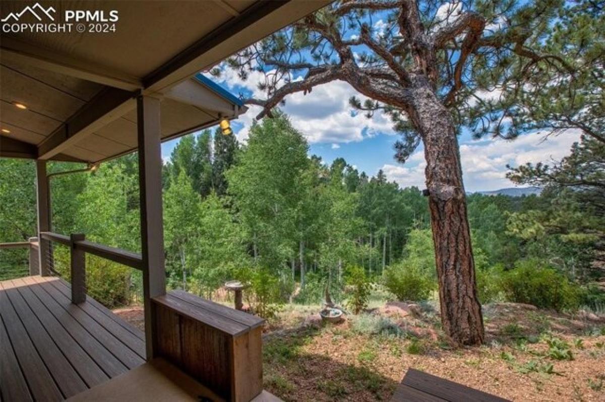 Picture of Home For Sale in Florissant, Colorado, United States