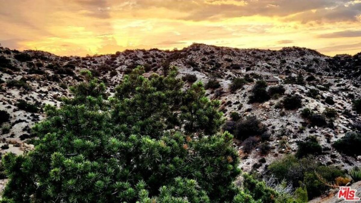 Picture of Residential Land For Sale in Yucca Valley, California, United States