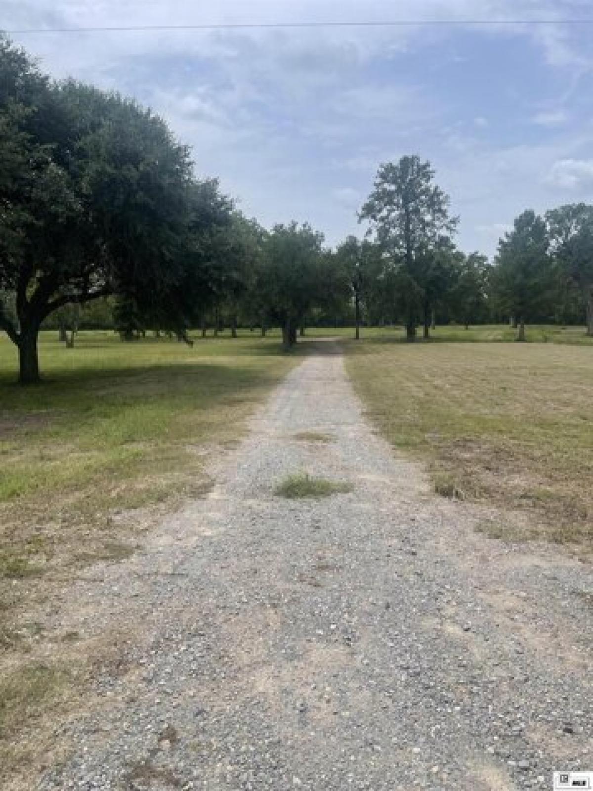 Picture of Residential Land For Sale in Monroe, Louisiana, United States