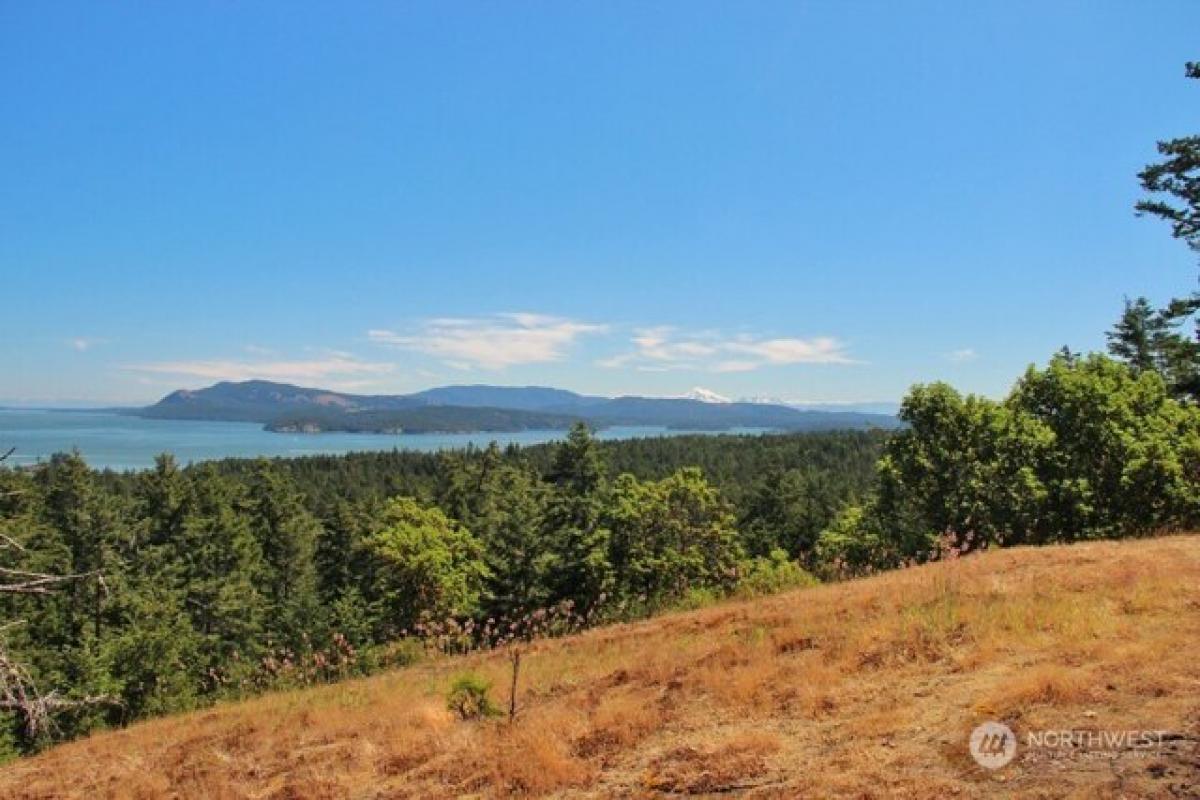 Picture of Residential Land For Sale in Friday Harbor, Washington, United States