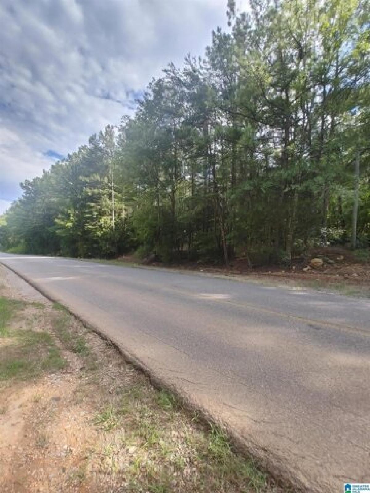 Picture of Residential Land For Sale in Lincoln, Alabama, United States