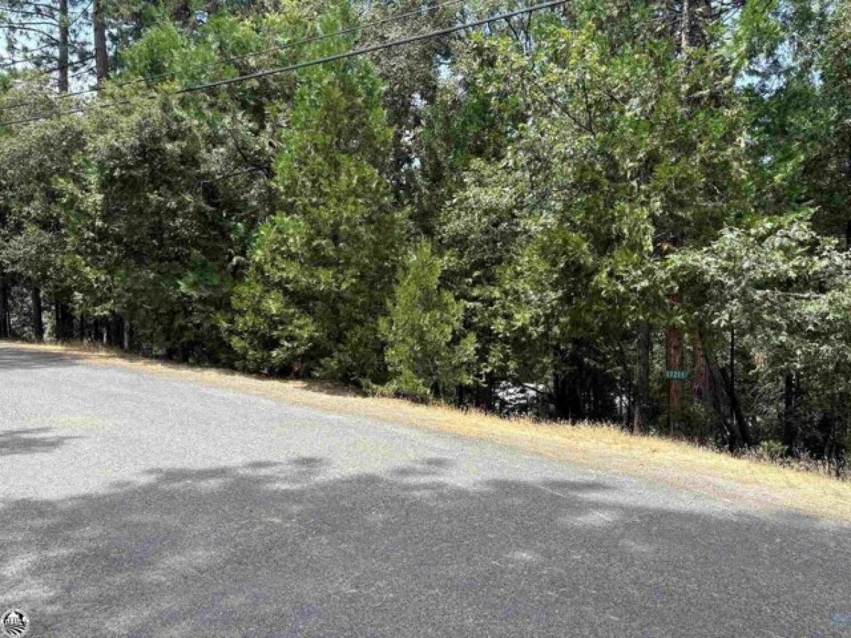 Picture of Residential Land For Sale in Sonora, California, United States