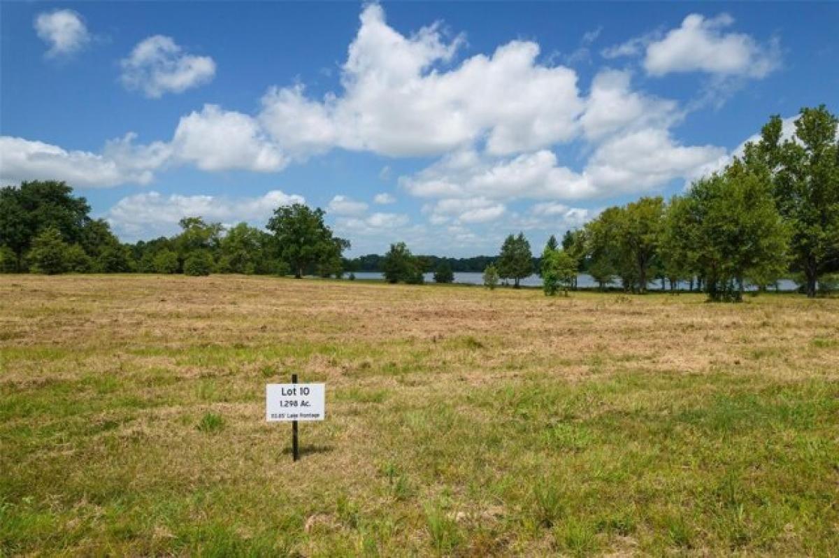 Picture of Residential Land For Sale in Mount Pleasant, Texas, United States