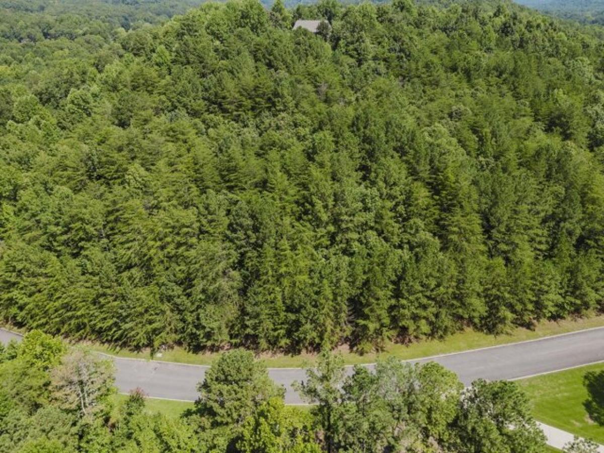 Picture of Residential Land For Sale in Rocky Face, Georgia, United States