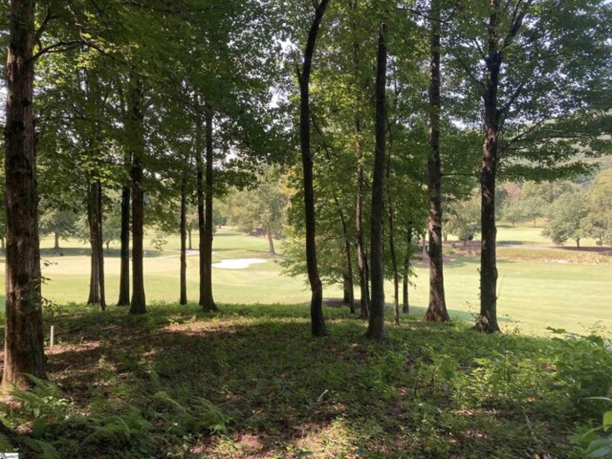 Picture of Residential Land For Sale in Travelers Rest, South Carolina, United States