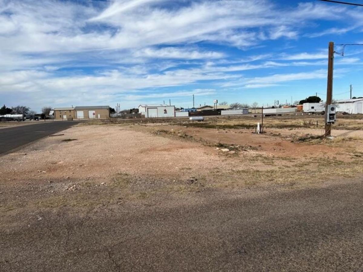 Picture of Residential Land For Sale in Crane, Texas, United States