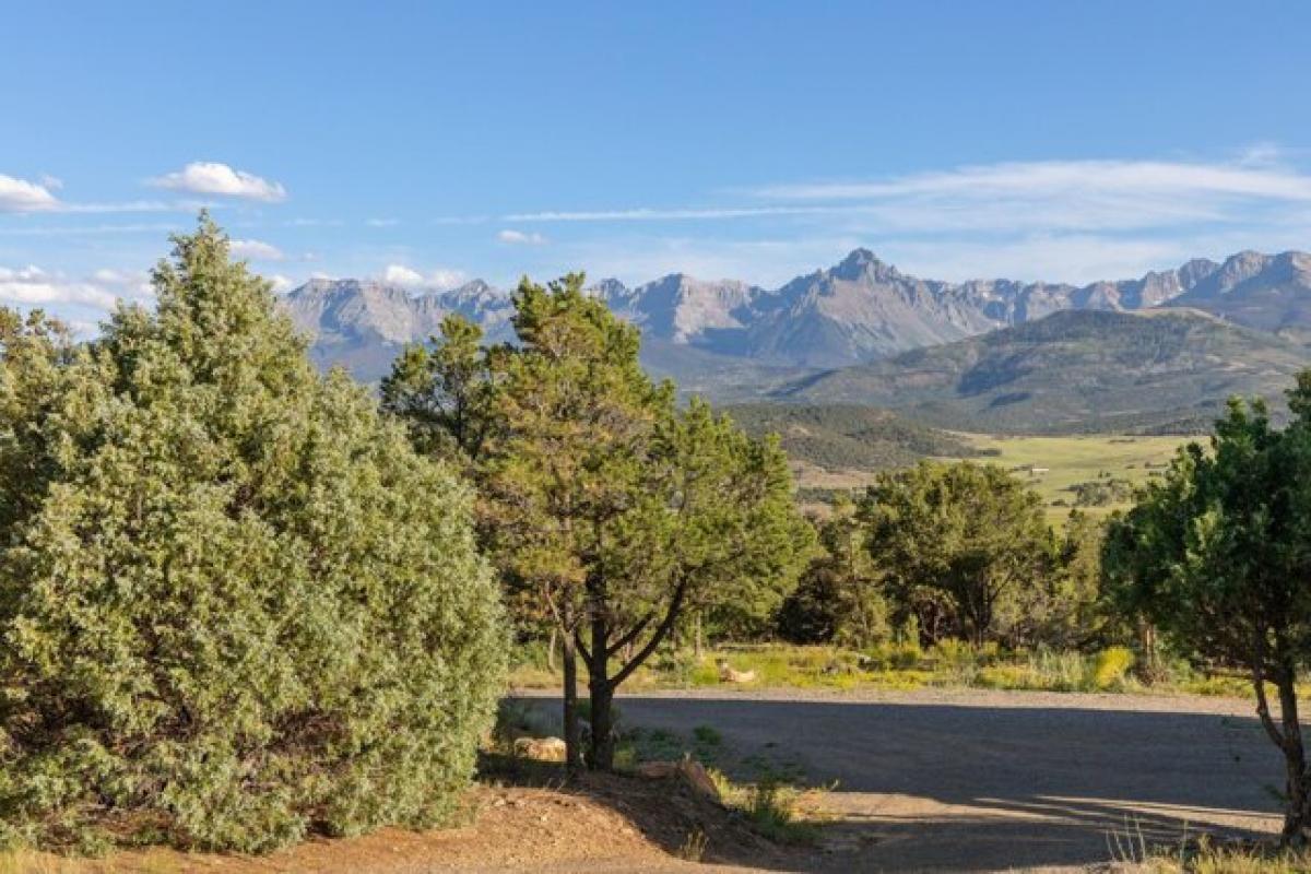 Picture of Home For Sale in Ridgway, Colorado, United States