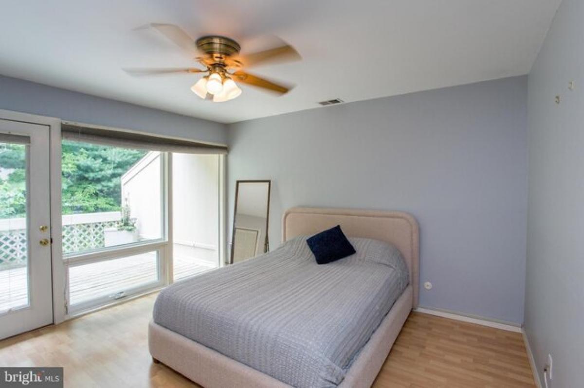 Picture of Apartment For Rent in New Hope, Pennsylvania, United States