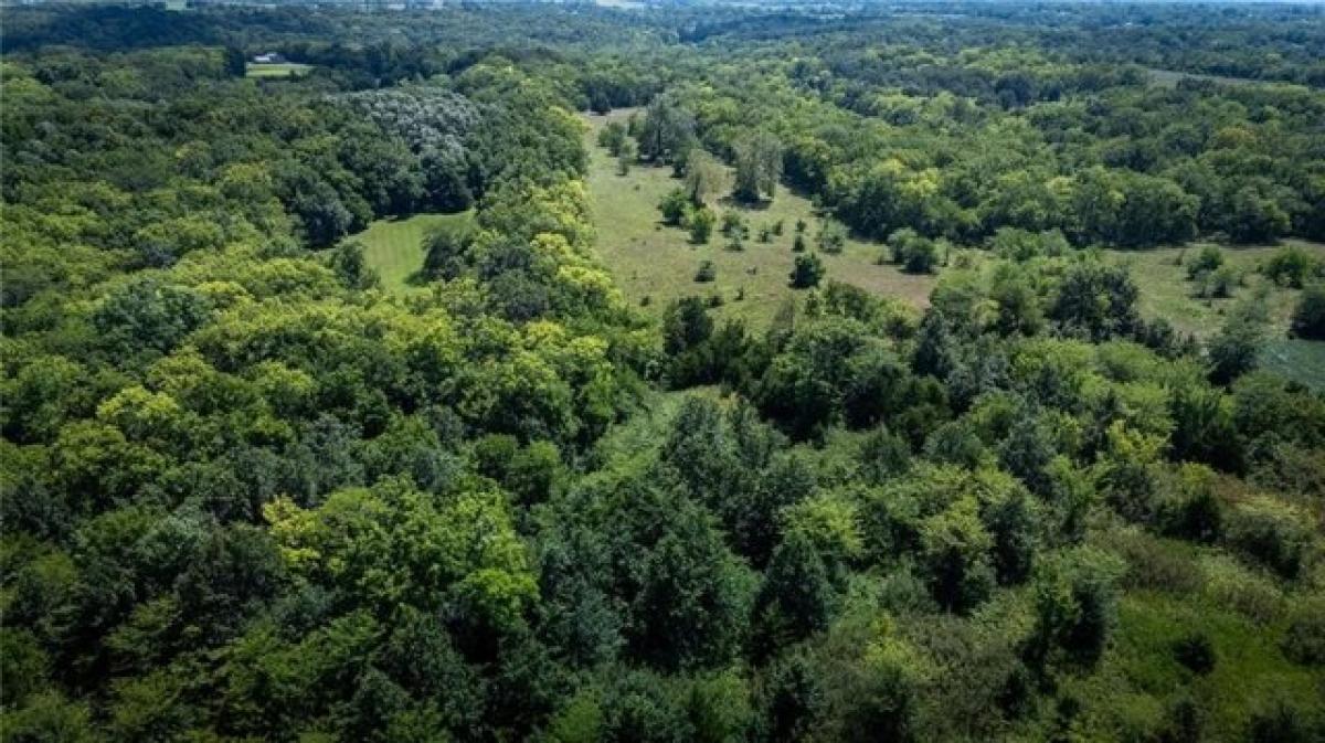 Picture of Residential Land For Sale in Lawson, Missouri, United States