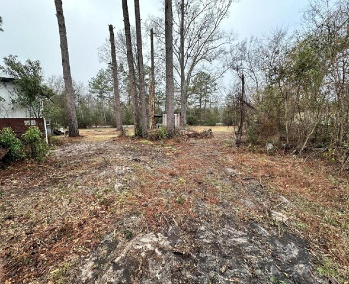 Picture of Residential Land For Sale in Deridder, Louisiana, United States