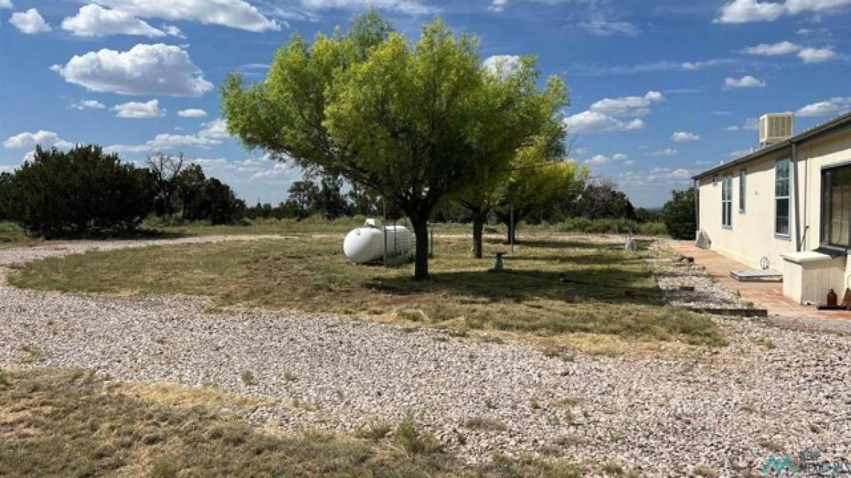 Picture of Home For Sale in Fence Lake, New Mexico, United States