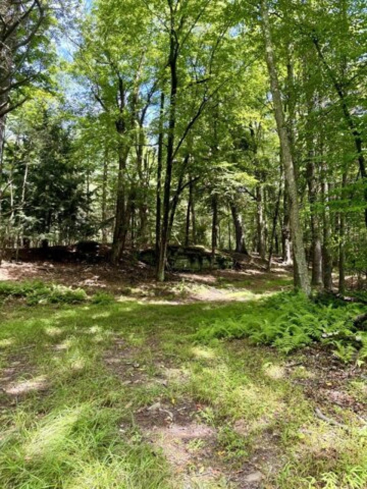 Picture of Residential Land For Sale in Bethel, New York, United States