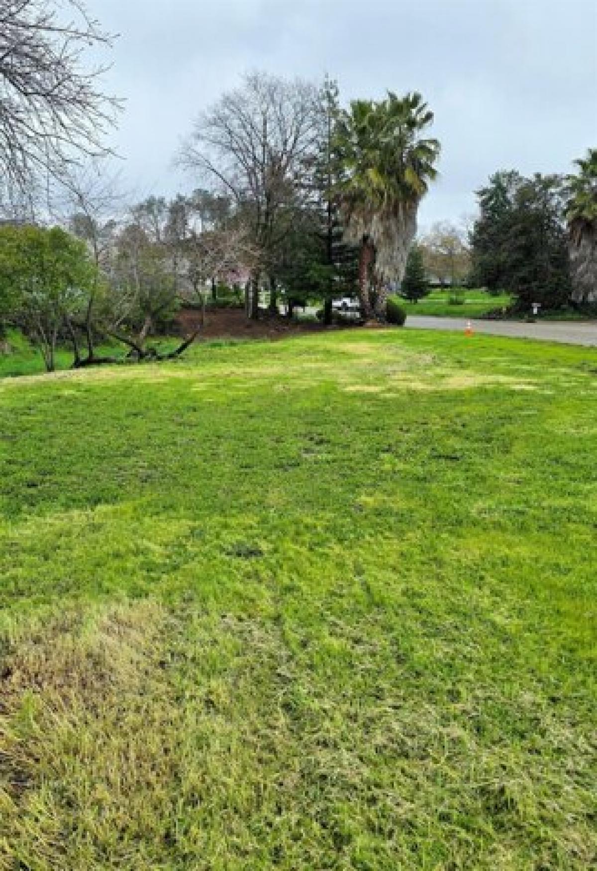 Picture of Residential Land For Sale in Sutter Creek, California, United States