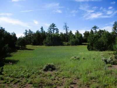 Residential Land For Sale in Ramah, New Mexico