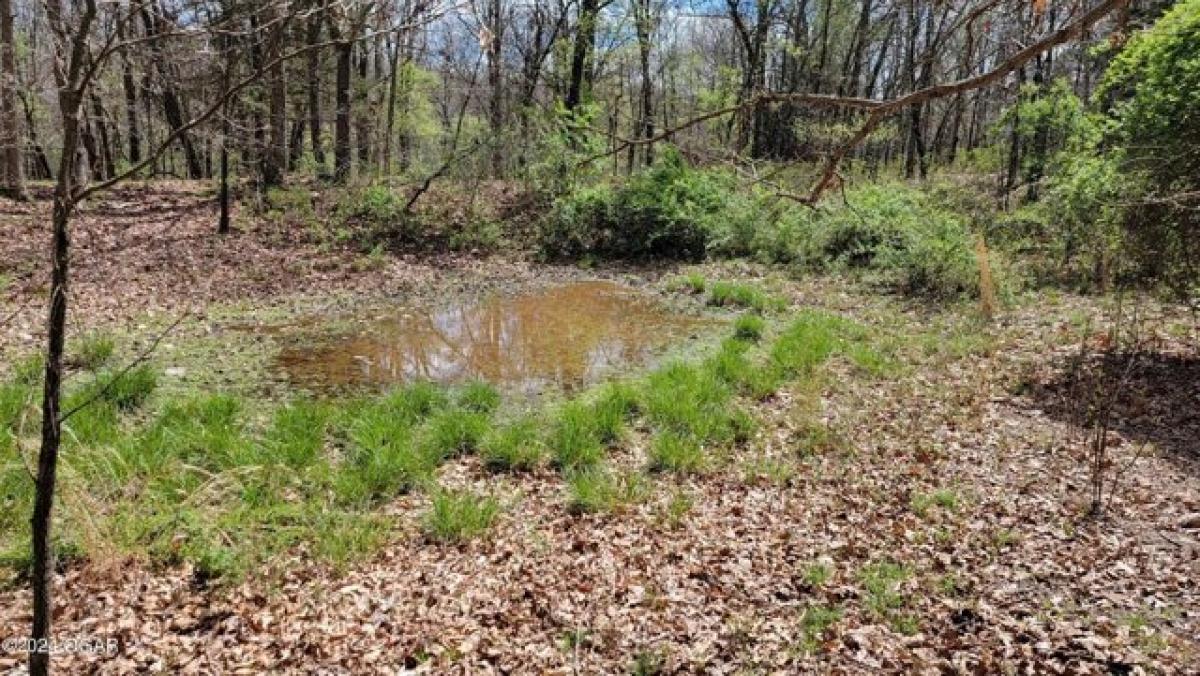 Picture of Residential Land For Sale in Granby, Missouri, United States