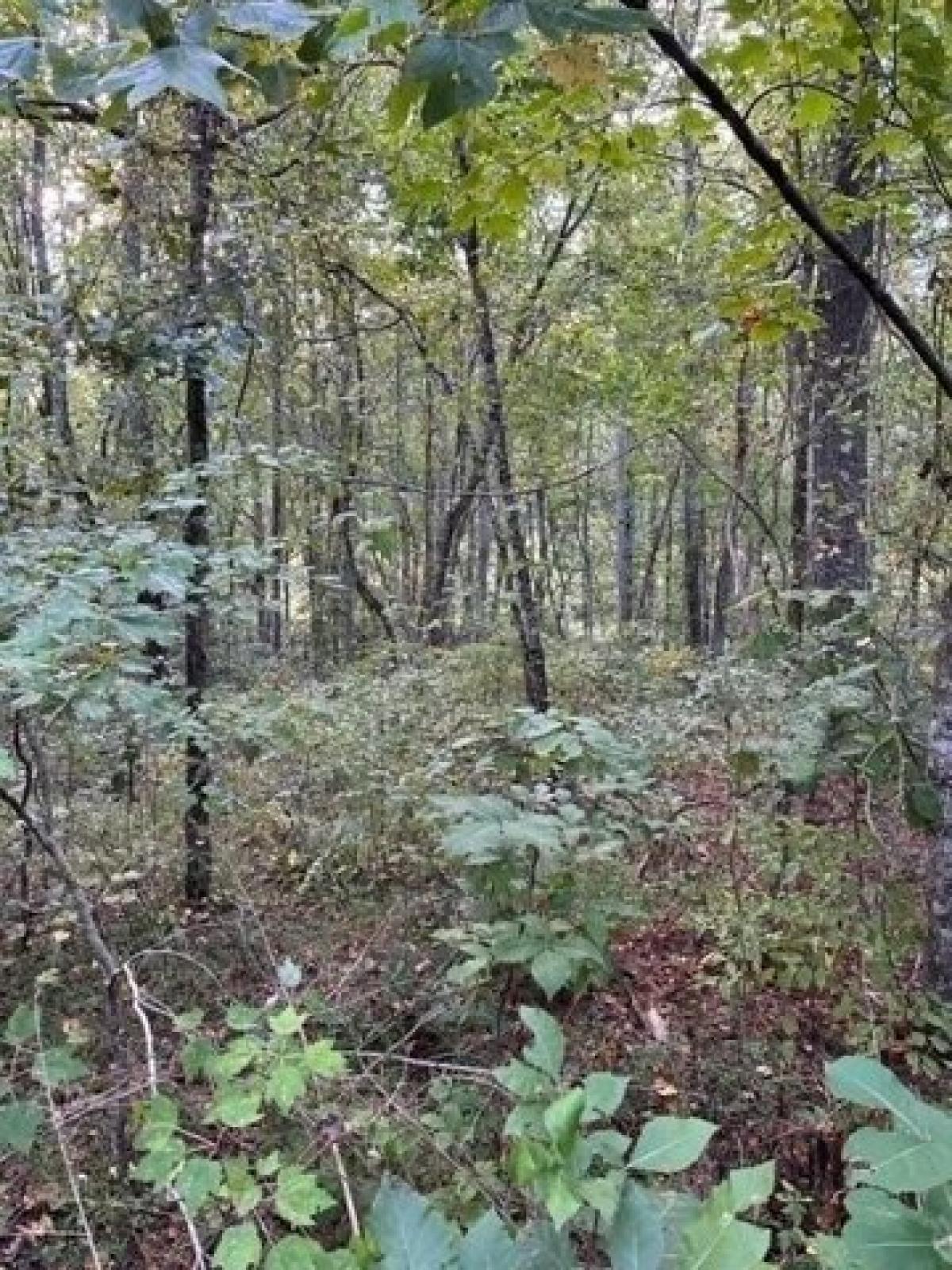 Picture of Residential Land For Sale in Ball Ground, Georgia, United States