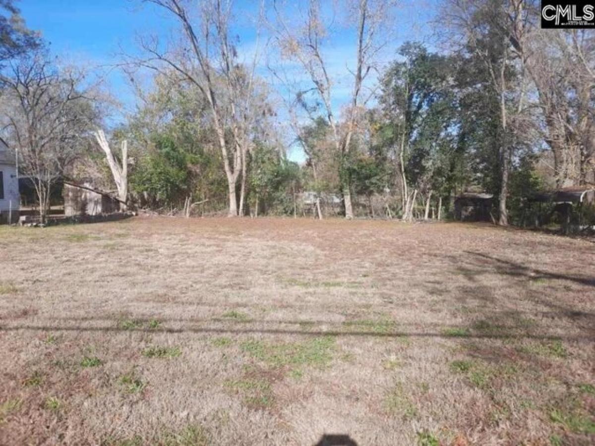 Picture of Residential Land For Sale in Newberry, South Carolina, United States